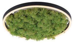 JUST LIGHT. JUST LIGHT. 15391-66 - LED Plafon ściemnialny ZIELONY RITU LED/20W/230V W4568