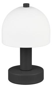 Czarno-biała lampa stołowa ze szklanym kloszem (wysokość 19 cm) Glenn – Reality