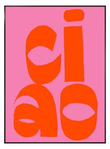 Obraz 50x70 cm Ciao – Styler