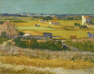 Reprodukcja The Harvest 1888, Vincent van Gogh