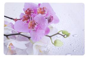 Podkładka Orchid 4, 43,5 x 28,5 cm, zestaw 4 szt