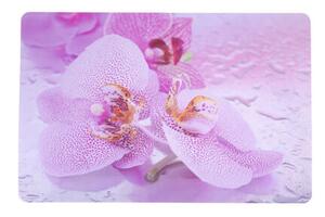 Podkładka Orchid 3, 43,5 x 28,5 cm, zestaw 4 szt