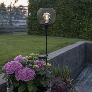 STAR TRADING Lampa solarna LED Sunlight z grotem ziemnym