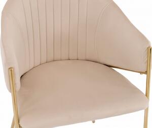 MebleMWM Krzesło Glamour beżowe DC-890 welur, złote nogi