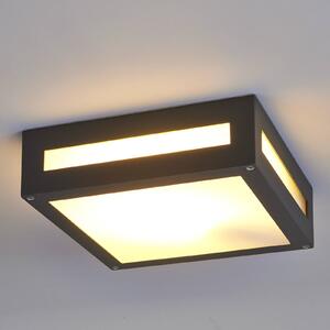Prostokątna zewnętrzna lampa sufitowa Nerea NEREA Lucande, czarny, aluminium, nowoczesny