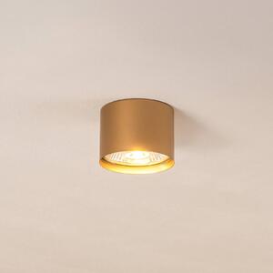 Reflektor sufitowy Chloe stały, złoty Argon, możliwość ściemniania, mosiężny / złoty, salon / jadalnia, metal, nowoczesny