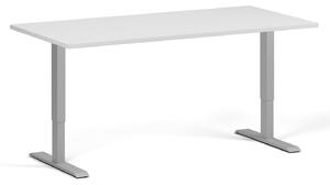 Stół z regulacją wysokości, 2 silniki, 745 - 1215 mm, blat 1600 x 800 mm, podstawa szara, biały