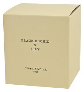 Świeca zapachowa XL Black Orchid&Lily