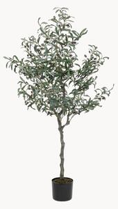 Sztuczna roślina dekoracyjna Olive