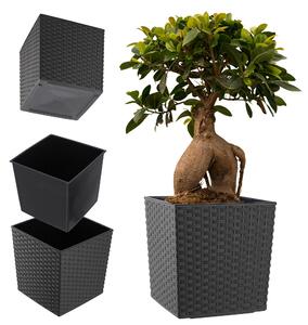 Donica na kwiaty z wkładem rattan 19 cm, grafit