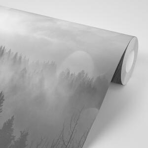 Samoprzylepna fototapeta czarno-biała mgła nad lasem