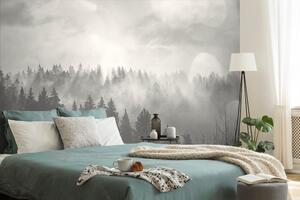 Fototapeta czarno-biała mgła nad lasem