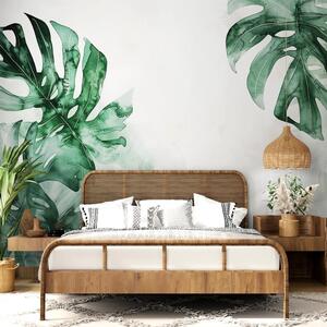 Tapeta liście giganta Monstera