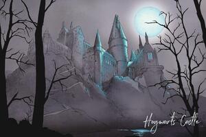 Druk artystyczny Harry Potter - Nocturnal Hogwarts Castlle