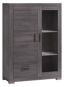 Witryna szklana, witryna do salonu 2D1S Ryga szerokość 95 cm