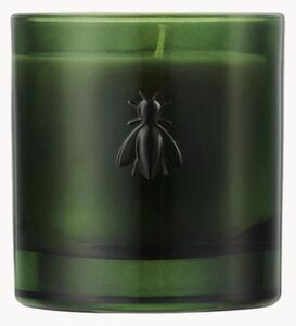 Świeca zapachowa Abeille (cedr & cyprys)