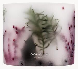 Świeca zapachowa z trzema knotami Botanica (czarna porzeczka, cynamon)
