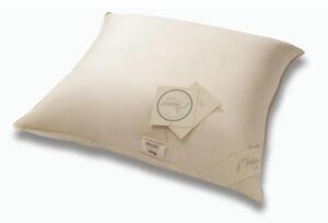 Poduszka puchowa 90% trzykomorowa AMZ Organic Cotton 70x80