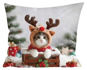 3D Poszewka na poduszkę z mikrofibry RUDOLPH KITTEN 45x45 cm, kolorowy