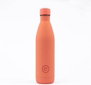 Cool Bottles Butelka termiczna Kids 350 ml Brave Vikings