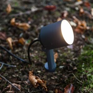 LUTEC Lampa z grotem ziemnym LED Explorer z głowicą spot