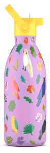 Cool Bottles Butelka termiczna Kids 500 ml Fly Free