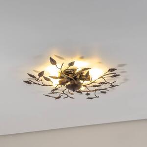 Euluna Lampa sufitowa Cernecchio, 5-punktowa, brązowa