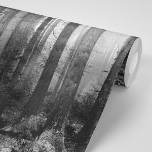 Samoprzylepna fototapeta czarno-biały sekret lasu