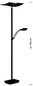 HELL Lampa stojąca LED Andy, 3-punktowa, antracyt, CCT, ściemniany