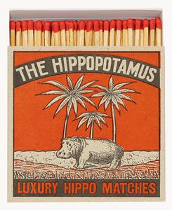 Zapałki Matchbox Hippo