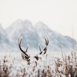 Fotografia Shy Deer, Treechild