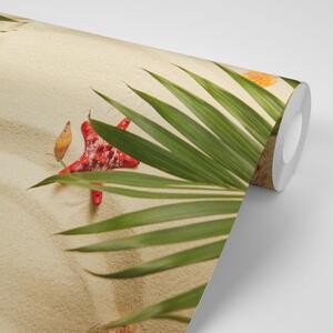 Fototapeta muszle pod liśćmi palmowymi