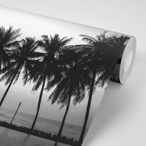 Tapeta zachód słońca nad palmami w czerni i bieli