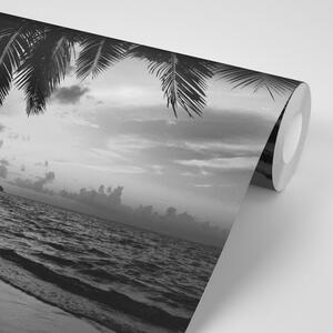 Fototapeta czarno-biała karaibska plaża