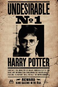 Plakat, Obraz Harry Potter - Undersirable No 1