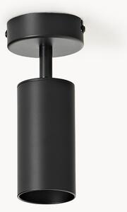 Lampa sufitowa Cassandra