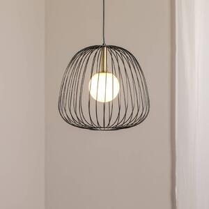 SIGMA Żyrandol Bell M, Ø 33 cm, 1-punktowa, czarny/złoty/biały