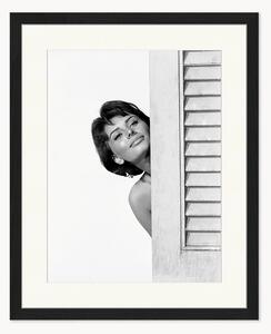 Ręcznie wykonana oprawiona fotografia Sophia Loren