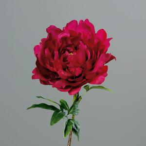 Piwonia Różowa 58 cm