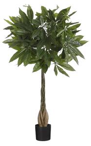 Roślina sztuczna BARO pachira 80 cm