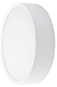 BRUMBERG Kinkiet zewnętrzny LED EYE, otwarty, biały, CCT, IP65 Eye, biały / opal, przedpokój, aluminium