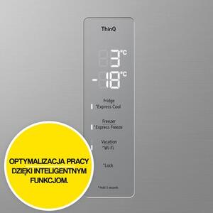 Lodówka LG GBF7272DPY No Frost 203cm Prime Silver DoorCooling+ LinearCooling Półka na wino