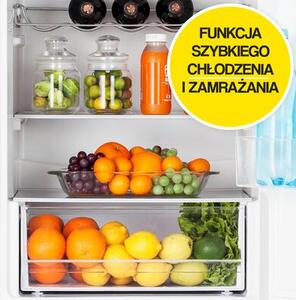 Lodówka MPM-240-FFH-01/A