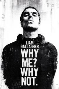 Plakat, Obraz Liam Gallagher - Why Me Why Not