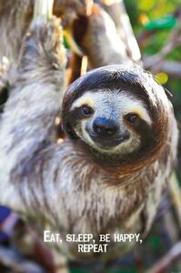 Plakat, Obraz Smile - Sloth