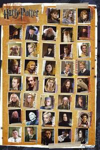 Plakat, Obraz Harry Potter - Postacie, (61 x 91.5 cm)