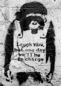 Plakat, Obraz Banksy street art - chimp, (42 x 59 cm)