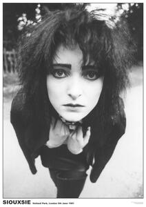 Plakat, Obraz Siouxsie The Banshees - London 81, (59.4 x 84 cm)
