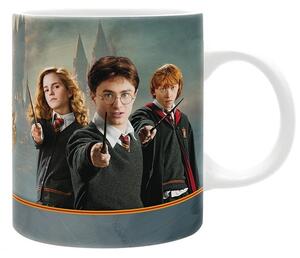 Kubek Harry Potter - Harry Co
