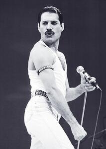 Plakat, Obraz Freddie Mercury - Live Aid, (59.4 x 84.1 cm)